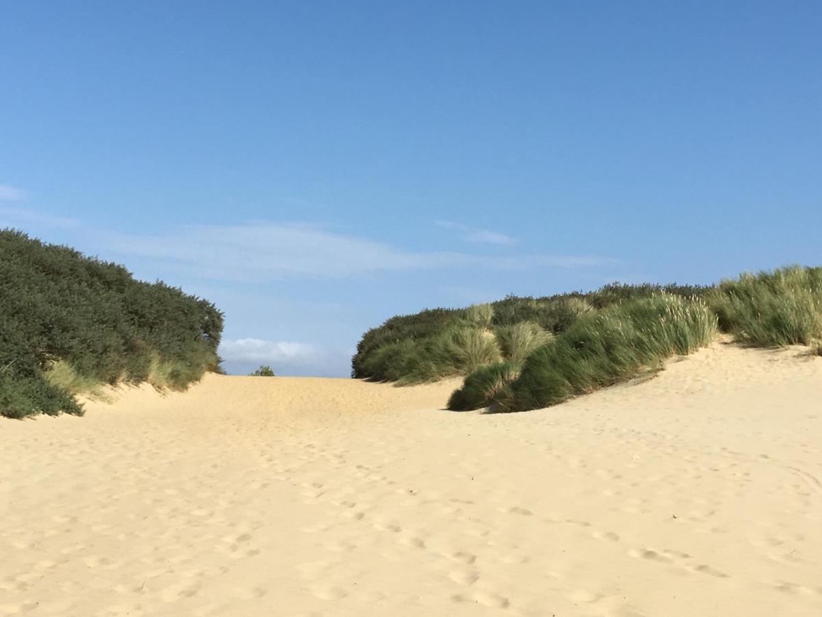 فيلا Owlers Retreat Camber المظهر الخارجي الصورة