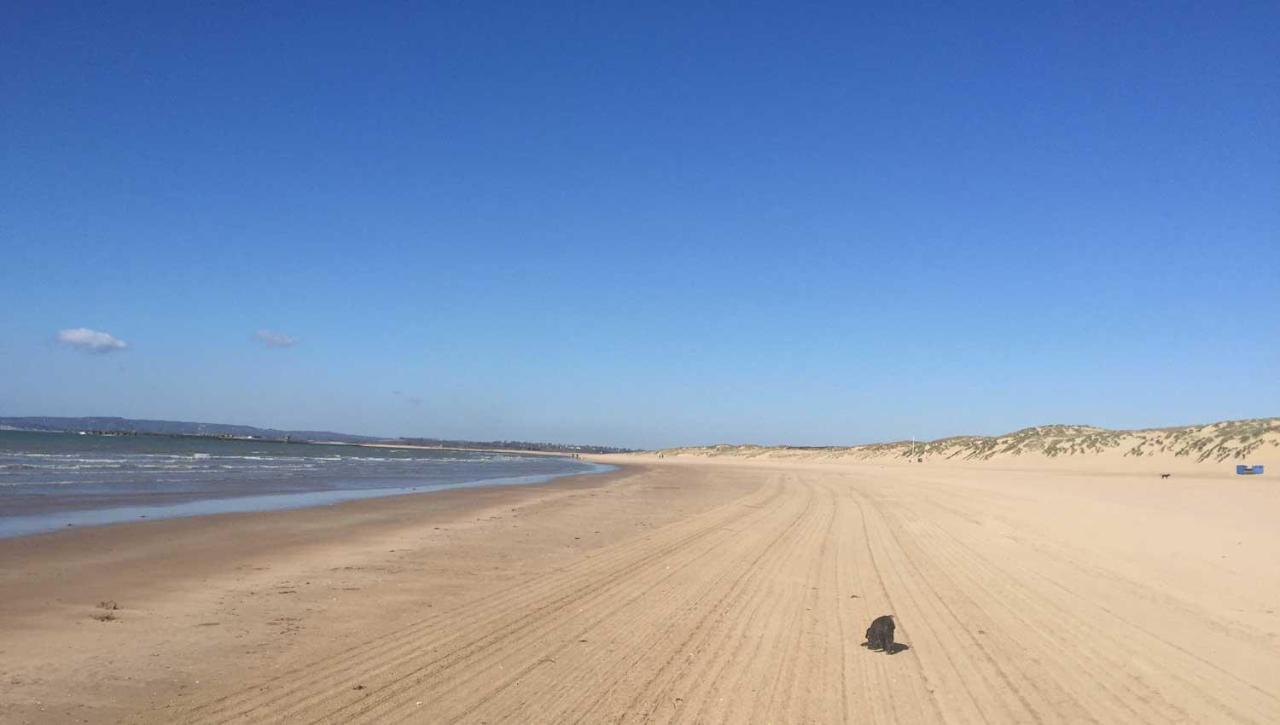 فيلا Owlers Retreat Camber المظهر الخارجي الصورة